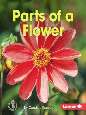 cover image of Parts of a Flower
